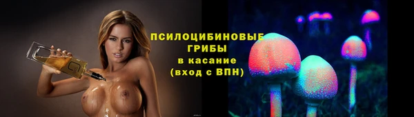 индика Балахна