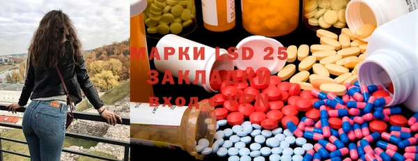 индика Балахна