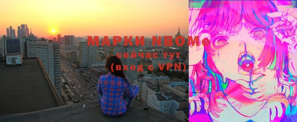 индика Балахна