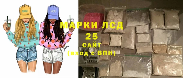 индика Балахна