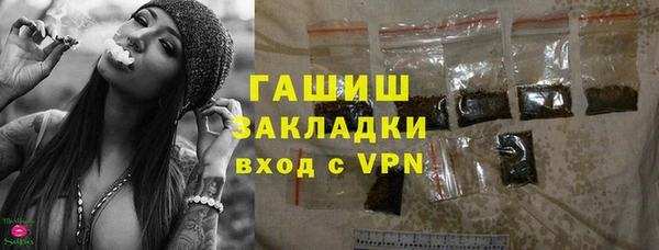 индика Балахна